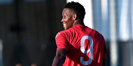 Pronostico Fiorentina-Cremonese, viola favoriti per le quote