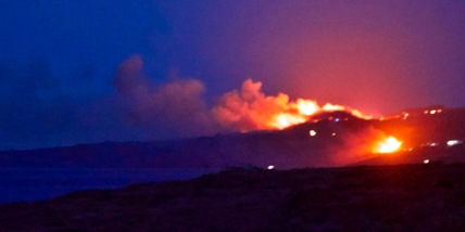 Maxi incendio a Pantelleria, Francesca Barra: "Il nostro cuore è a pezzi"