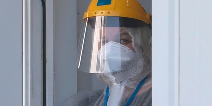 Russia, scoperto un nuovo virus proveniente dai pipistrelli