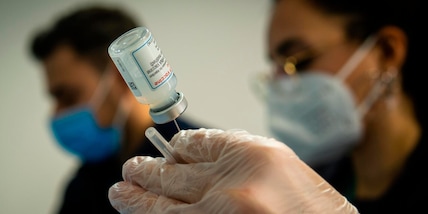 Punture di vespa: al Bambin Gesù arriva il vaccino anti shock anafilattico