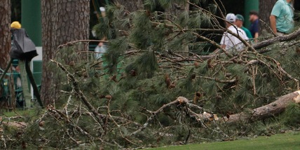Golf, che spavento ad Augusta: pini cadono sul green