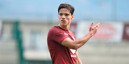 Diretta Torino-Salernitana ore 15: dove vederla in tv, in streaming e formazioni ufficiali