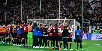 Reggina, il comunicato in risposta al ministro Abodi