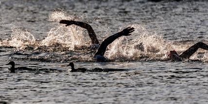 "Nuoto nella m...", incredibile in Inghilterra: decine di atleti ammalati