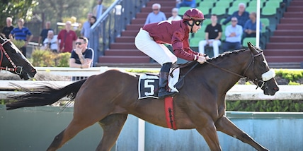 Allegri trionfa a Capannelle con Lyricus: suo il Premio Fastigio