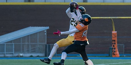 Giaguari Torino: i risultati del weekend delle giovanili