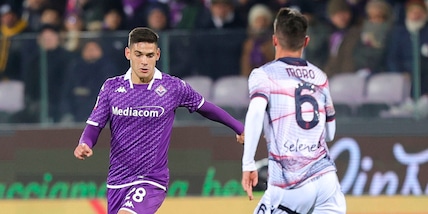 Pronostico Fiorentina-Udinese, le quote e le statistiche del match