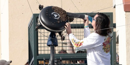 A mani nude sullo sciame di api: chi è l'eroe che ha salvato Indian Wells