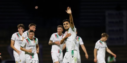 Bari-Ternana, si salvi chi può! Il pronostico del match del San Nicola