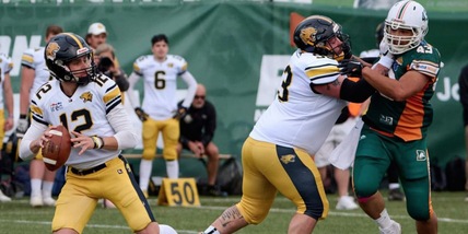 Campionato IFL 2024 - 11^ giornata: Giaguari Torino sconfitti dai Dolphins Ancona