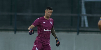 Verona-Cesena e Cremonese Bari, i pronostici delle partite di Coppa Italia