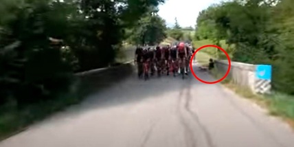 Alice Toniolli, grave incidente in bici: ricoverata in ospedale, prognosi riservata