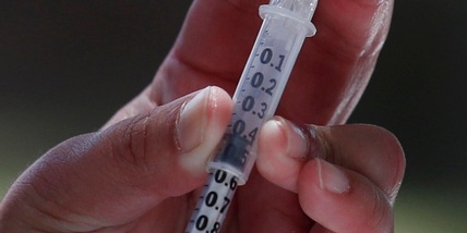 Vaiolo delle scimmie, la nuova variante: sintomi, trasmissione e vaccino