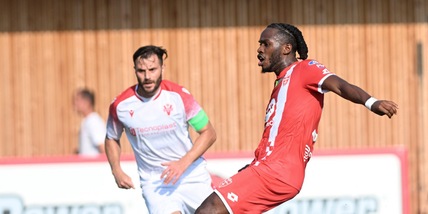 Pronostico Vis Pesaro-Arezzo, statistiche e migliori quote