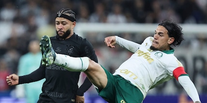 Pronostico Bahia-Palmeiras, occhio ai precedenti: il dato è sorprendente