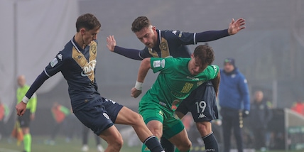 Pronostico Salernitana-Brescia, i consigli su cosa giocare arrivano dai numeri