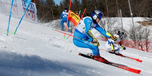 Mondiali di sci: dal parallelo una dura lezione per l'Italia
