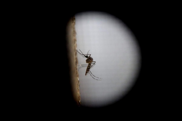 Zika, riscontrato il primo caso a Cuba 
