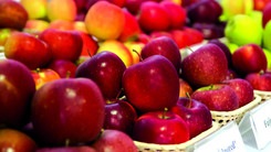 Il tempo delle mele