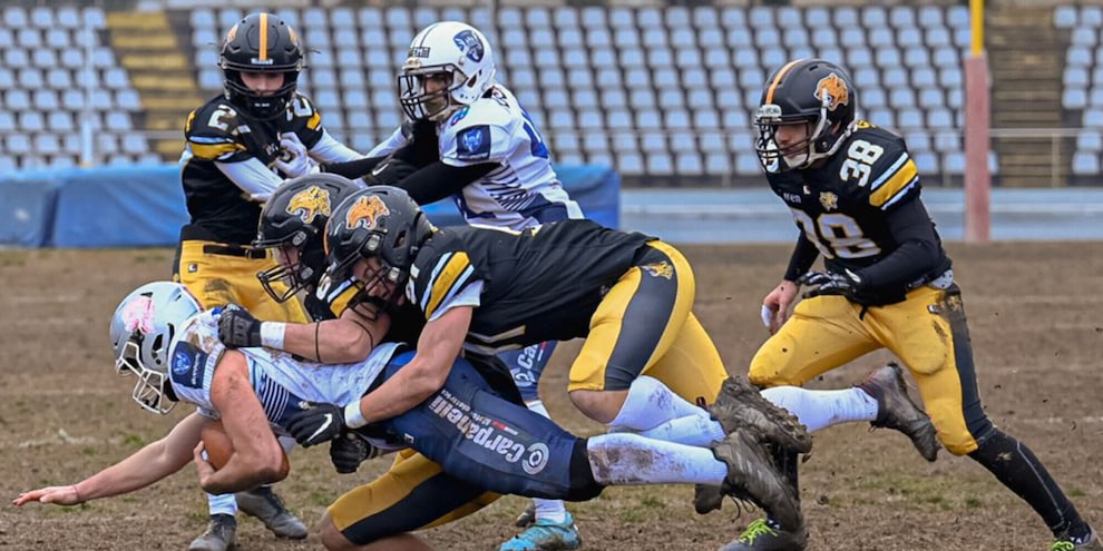 I Giaguari Torino dominano i Warriors