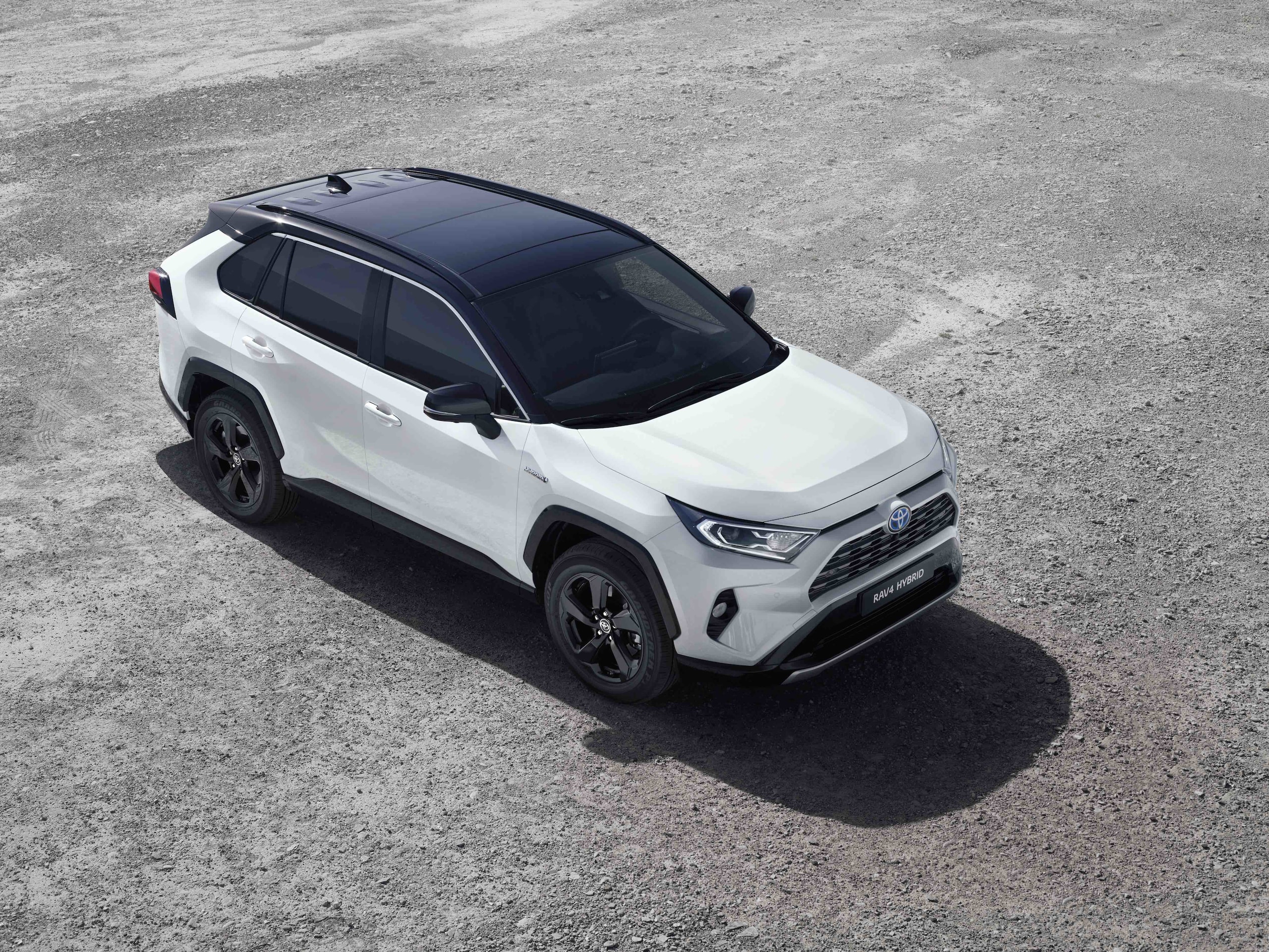 Toyota RAV4 Hybrid al Toyota Hybrid Vertical Winter: foto