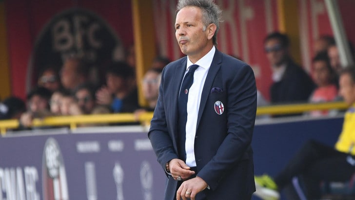 Serie A Bologna, Mihajlovic: «Non siamo ancora tranquilli»