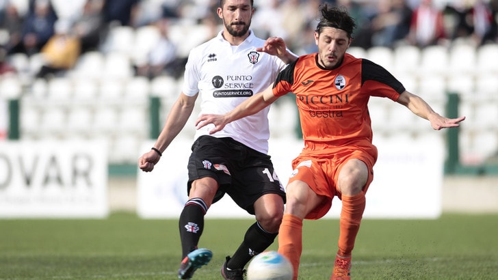 L'ex Pro Vercelli Bellemo ceduto al Como dalla Spal