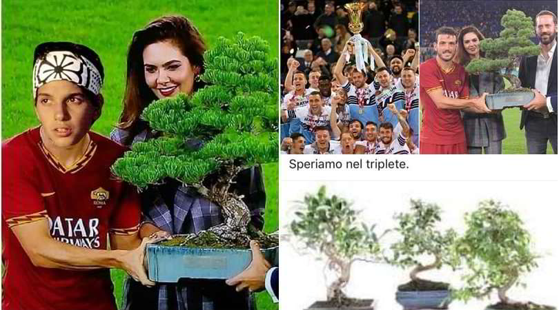 Il trofeo-bonsai alla Roma: le ironie invadono i social