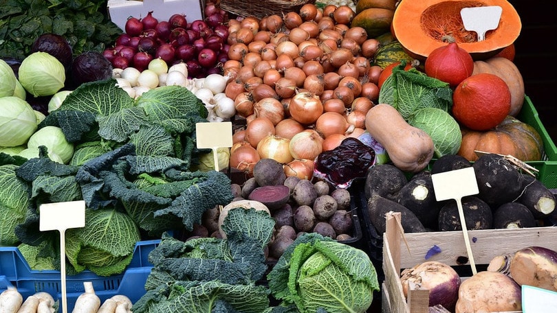 Corsa e inverno, come modificare l'alimentazione