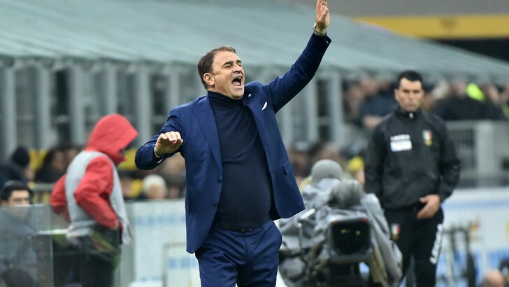 Spal, Semplici: