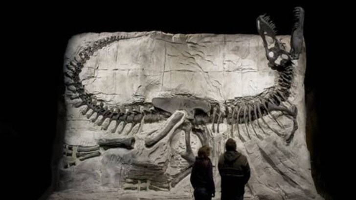 Scoperto un nuovo dinosauro: grande come un bus, aveva 80 denti