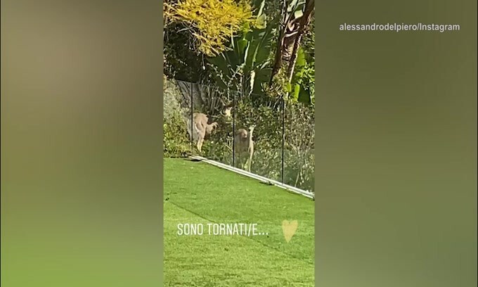 A casa Del Piero spuntano 2 amici visitatori
