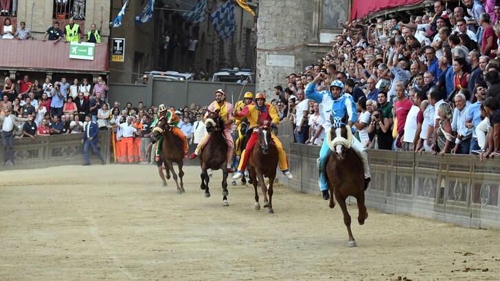Coronavirus, nel 2020 il Palio di Siena non si disputerà