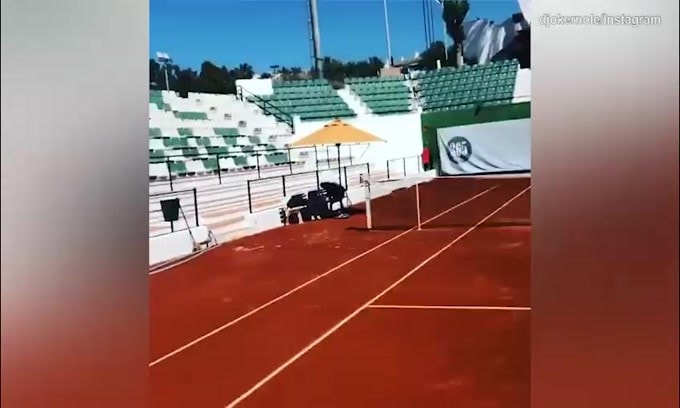 Djokovic, che classe e che scambi!