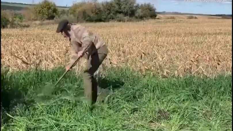 Cavani, addominali nei campi