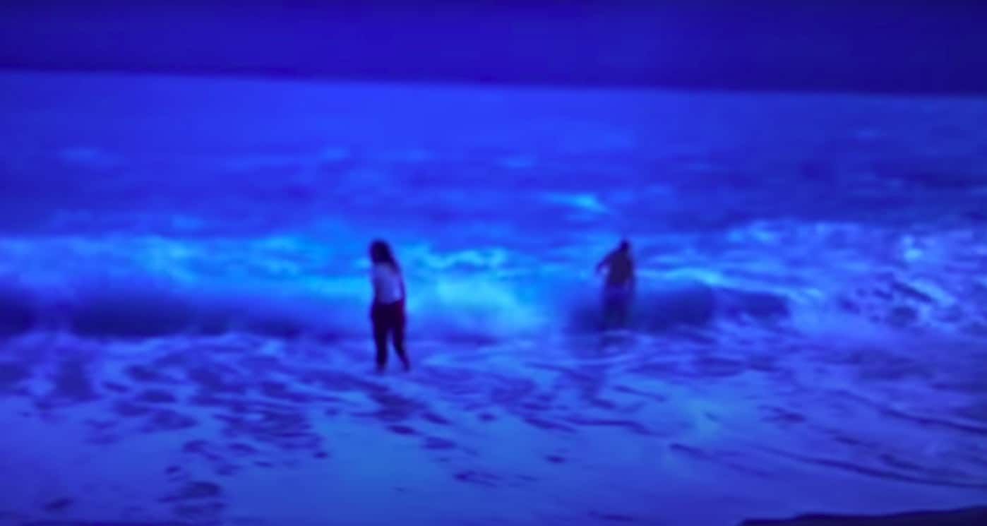 Paura Sgarbi: soccorso in mare in Albania