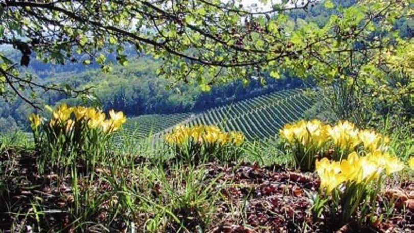 Sacro Monte di Crea: natura spirituale