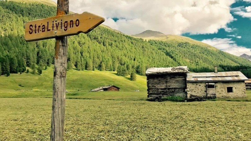 A Livigno, patria dello sport, con PerCorsi per voi