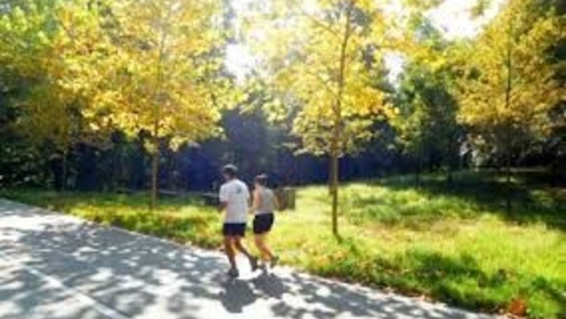 Runner e zanzare, come evitare le punture durante l'allenamento