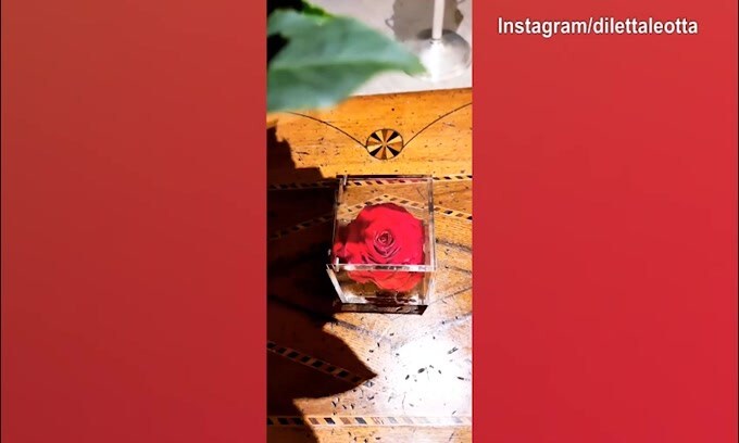 Rose per Diletta Leotta, chi le avrà spedite?