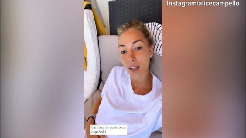 Lady Morata corteggiata da un gattino