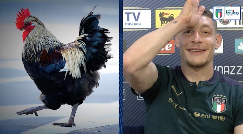 Belotti e gli animali: il paragone con i compagni di squadra