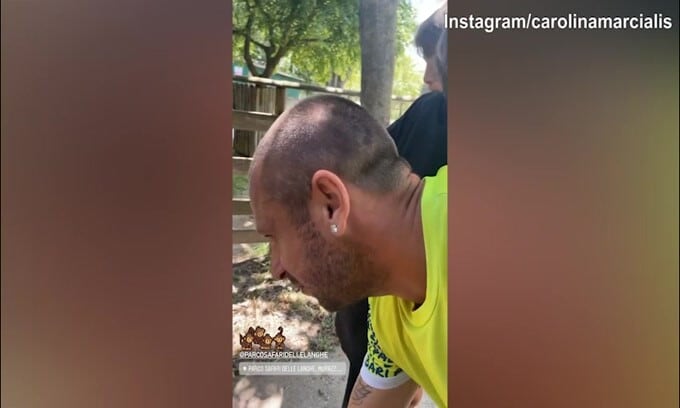 Cassano, che sfottò da parte di Carolina: "Lo scimmione con le scimmie.."