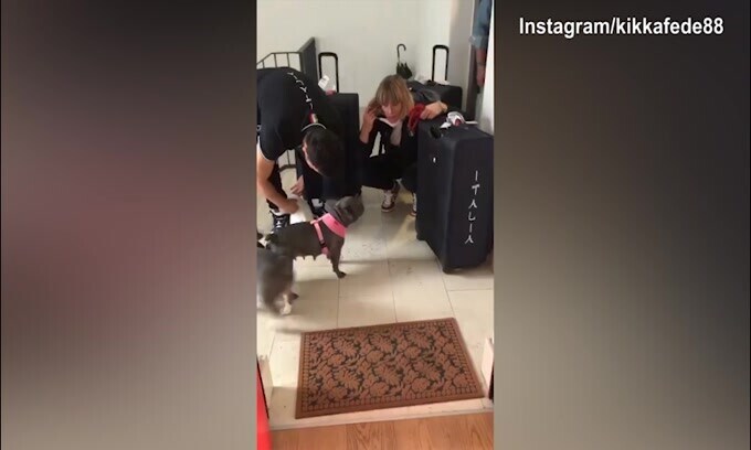 Federica Pellegrini torna a casa: i cani festeggiano!