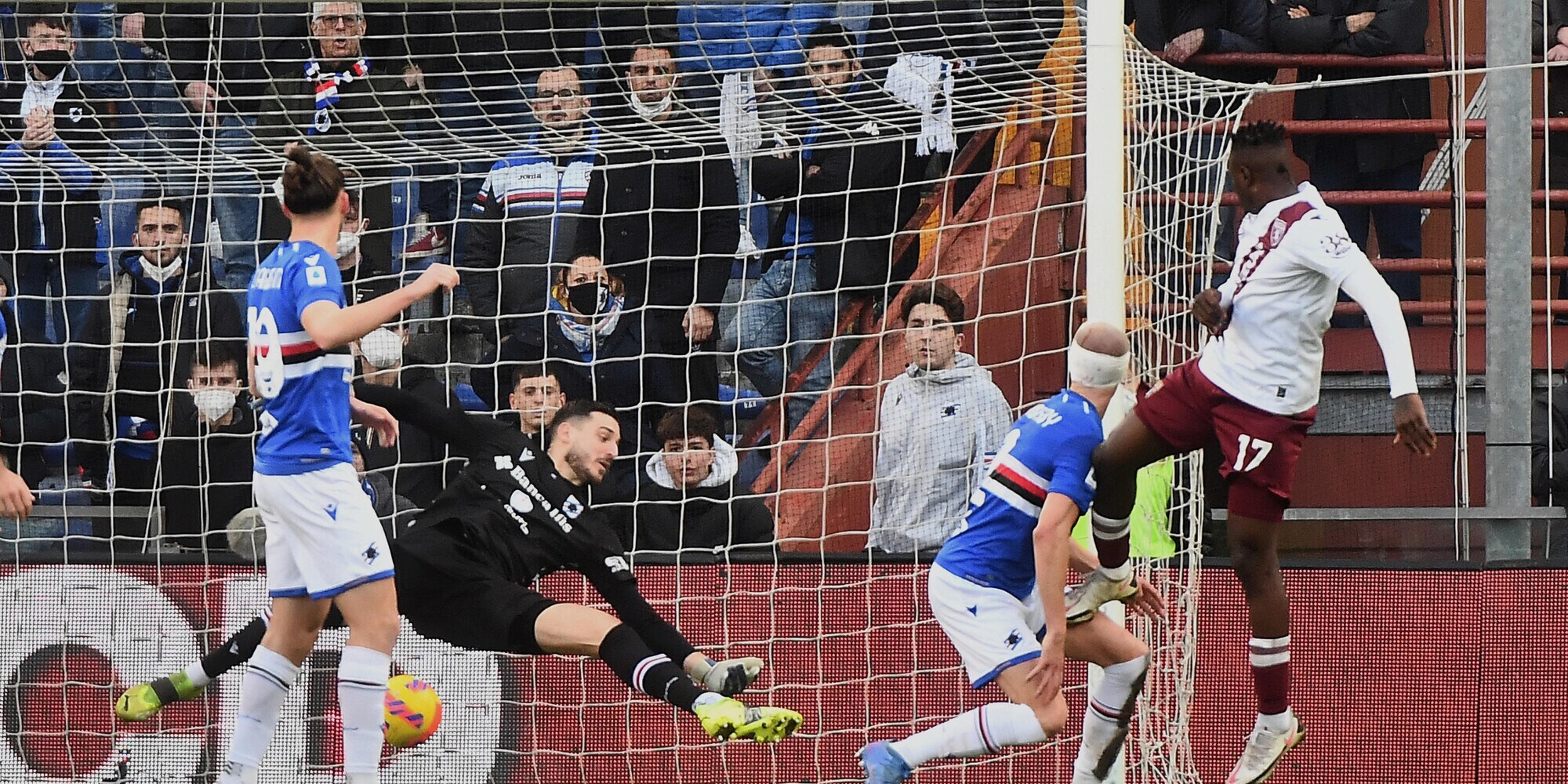 Il Torino vince ancora. Le incornate di Singo e Praet stendono la Samp