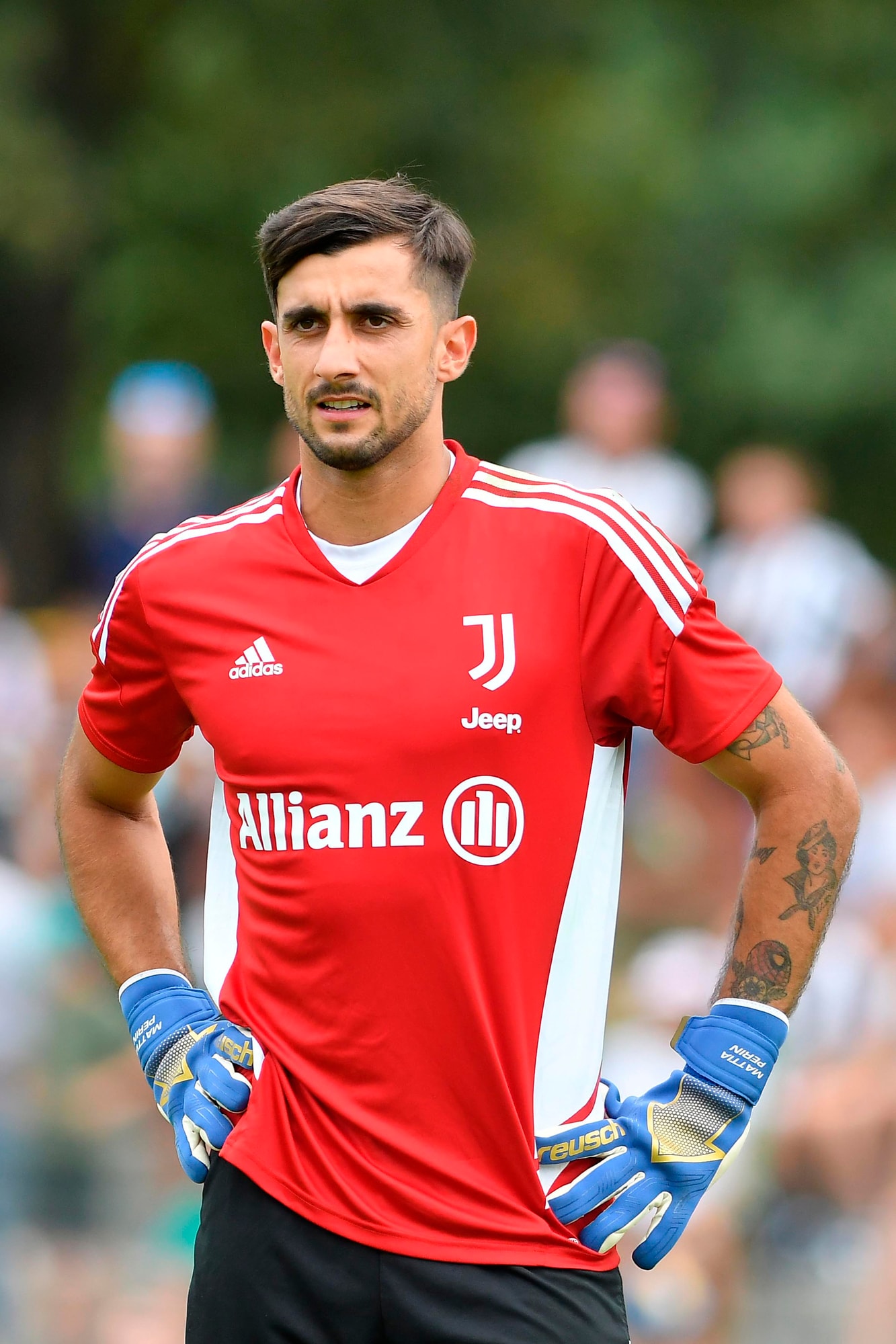 Perin