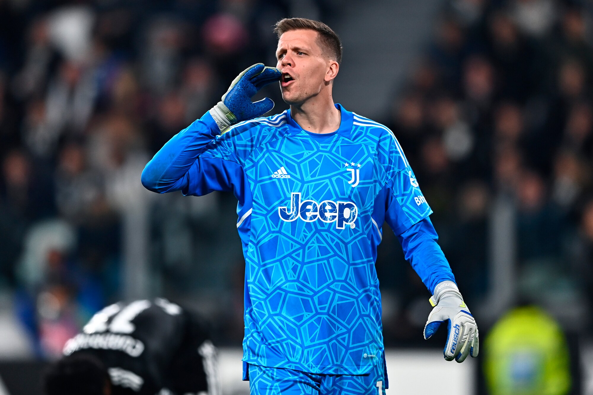 Szczesny (Perin)