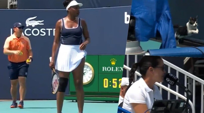 Non solo le api a Indian Wells: Venus Williams in campo, chi fa invasione?