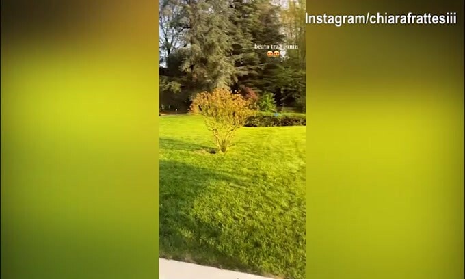 Chiara Frattesi felice tra…i cani