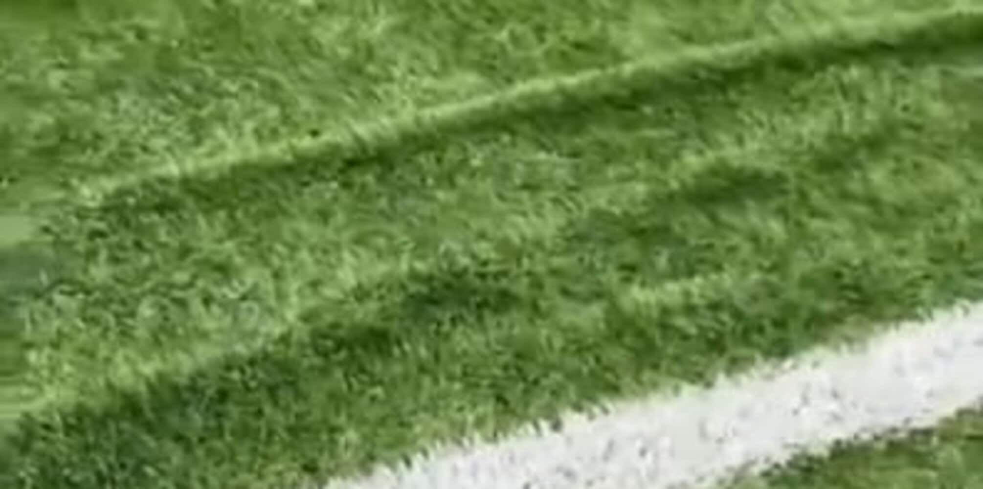 Bodo, pieghe sul campo sintetico: l'Inter si lamenta, ora decide l'arbitro